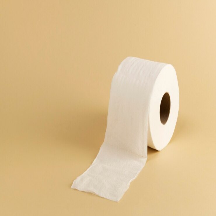 toilet paper roll 4